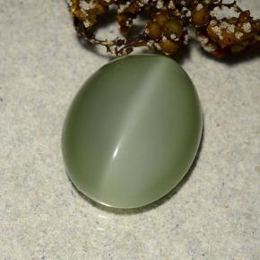 Ojo de Gato Actinolita Verde terroso natural de 6.10 ct, Corte Óvalo, Translúcido