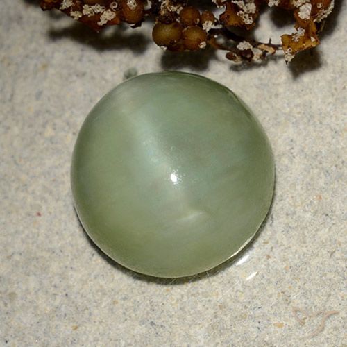 6.42ct Natural Verde cálido Ojo de Gato Actinolita, Ovalada, Translúcido