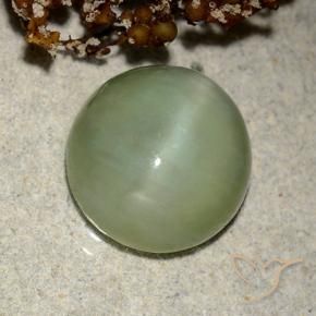 Ojo de Gato Actinolita Verde cálido natural de 6.42 ct, Ovalada, Translúcido