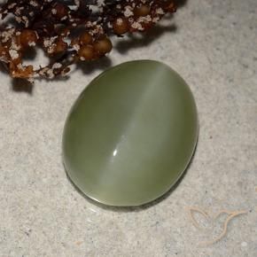 Ojo de Gato Actinolita Verde grisáceo natural de 6.21 ct, Ovalada, Translúcido