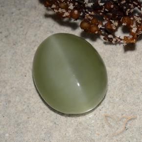 Ojo de Gato Actinolita Verde grisáceo natural de 6.21 ct, Ovalada, Translúcido