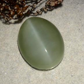 Actinolite cat's eye verde natural de 8,86 ct, corte óvalo, translúcido
