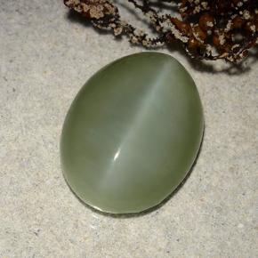 Actinolite cat's eye verde natural de 8,86 ct, corte óvalo, translúcido