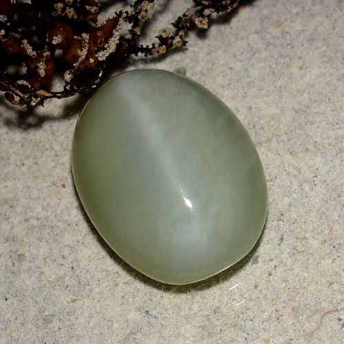 5.43ct Natural Verde marrón Ojo de Gato Actinolita, Ovalada, Translúcido