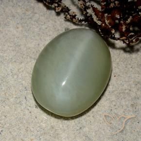 Ojo de Gato Actinolita Verde marrón natural de 5.43 ct, Ovalada, Translúcido