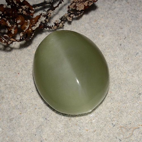 8.10ct Natural Verde marrón Ojo de Gato Actinolita, Ovalada, Translúcido