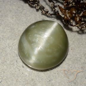 Ojo de Gato Actinolita Verde amarillento natural de 5.32 ct, Ovalada, Translúcido