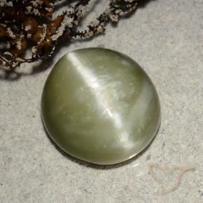 Ojo de Gato Actinolita Verde amarillento natural de 5.32 ct, Ovalada, Translúcido