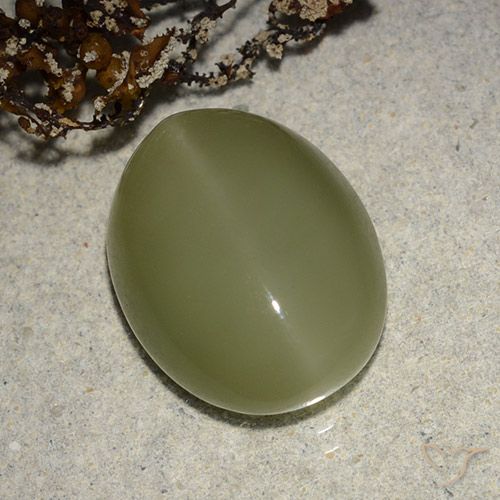 8.14ct Natural Verde amarillento Ojo de Gato Actinolita, Ovalada, Translúcido