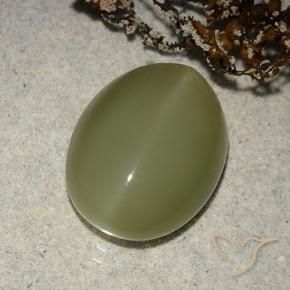 Ojo de Gato Actinolita Verde amarillento natural de 8.14 ct, Ovalada, Translúcido