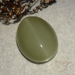 Ojo de Gato Actinolita Verde amarillento natural de 8.14 ct, Ovalada, Translúcido