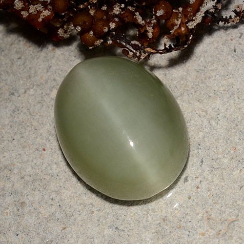 5.66ct Natural Verde terroso Ojo de Gato Actinolita, Ovalada, Translúcido