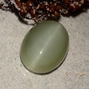 Ojo de Gato Actinolita Verde terroso natural de 5.66 ct, Ovalada, Translúcido