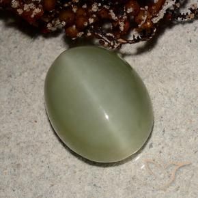 Ojo de Gato Actinolita Verde terroso natural de 5.66 ct, Ovalada, Translúcido