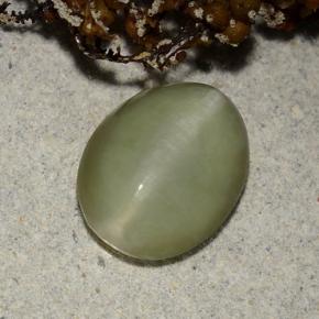 Actinolite cat's eye verde natural de 2,40 ct, corte óvalo, translúcido