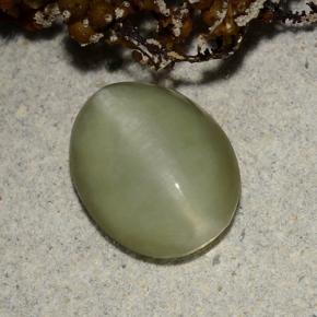 Actinolite cat's eye verde natural de 2,40 ct, corte óvalo, translúcido