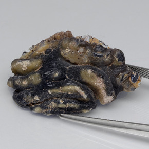 Geoda de ágata Multicolor natural de 61.00 ct, Forma elegante, Opaco