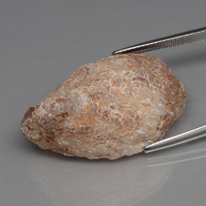 Geoda de ágata Multicolor natural de 39.70 ct, Forma elegante, Opaco