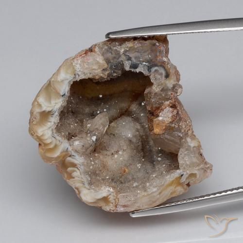 40.83ct Natural Multicolor Geoda de ágata, Elegante, Opaco