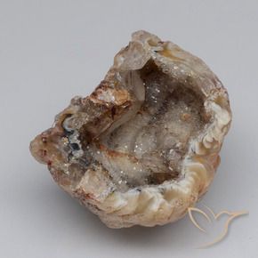 Geoda de ágata Multicolor natural de 40.83 ct, Elegante, Opaco