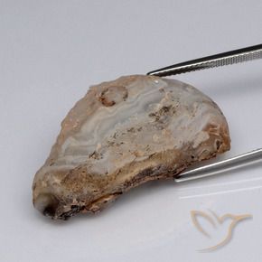 Geoda de ágata Multicolor natural de 40.37 ct, Elegante, Opaco