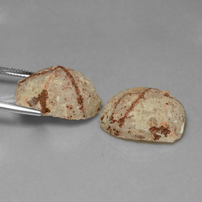 Gemas de geoda de ágata multicolor natural de 21,62 ct, forma elegante, opaco