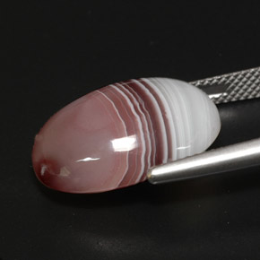 Ágata multicolor natural de 13,03 ct, corte óvalo, opaco