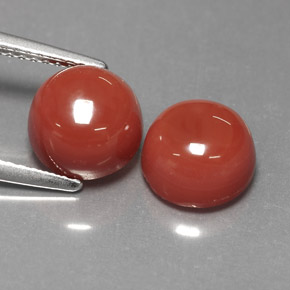 Gemas de ágata naranja natural de  ct, corte redondo, opaco