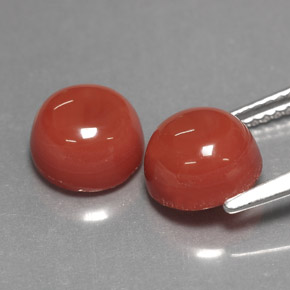 Gemas de ágata naranja natural de  ct, corte redondo, opaco