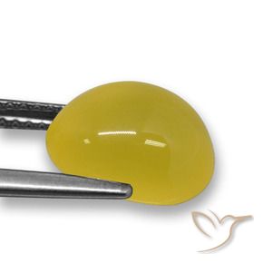 Ágata Amarillo miel natural de 3.84 ct, Ovalada, Translúcido