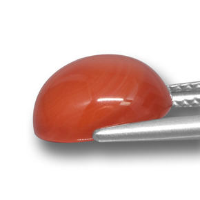 Ágata Naranja natural de 5.38 ct, Corte Óvalo, Translúcido