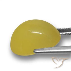 Ágata Dorado amarillento natural de 5.28 ct, Ovalada, Translúcido