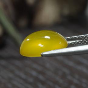Ágata Amarillo miel claro natural de 3.84 ct, Corte Óvalo, Translúcido