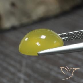 Ágata Amarillo abejorro natural de 4.39 ct, Ovalada, Translúcido