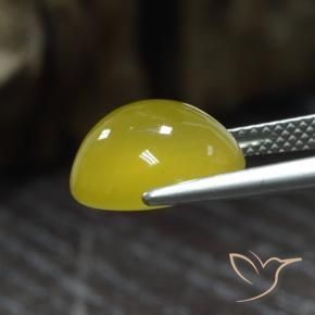 Ágata Amarillo miel claro natural de 5.73 ct, Ovalada, Translúcido