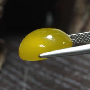 Ágata Amarillo miel claro natural de 6.60 ct, Corte Óvalo, Translúcido