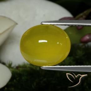 Ágata Amarillo miel claro natural de 5.60 ct, Ovalada, Translúcido