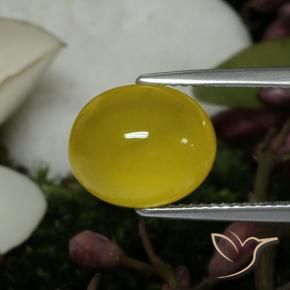 Ágata Amarillo medio natural de 4.59 ct, Ovalada, Translúcido