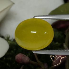 Ágata Amarillo medio natural de 4.19 ct, Ovalada, Translúcido