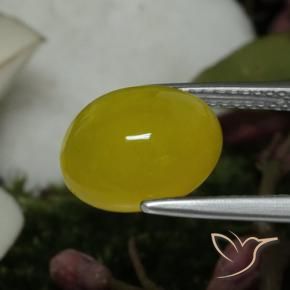 Ágata Amarillo medio natural de 4.19 ct, Ovalada, Translúcido