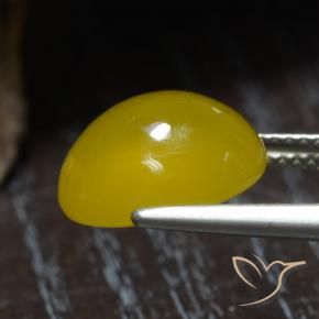 Ágata Amarillo miel natural de 5.94 ct, Ovalada, Translúcido