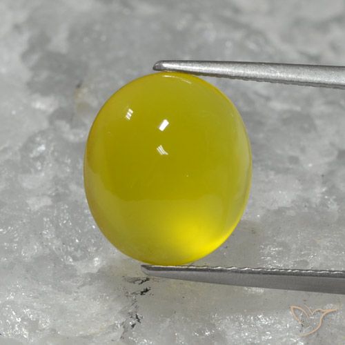 Ágata Amarillo abejorro natural de 5.05 ct, Ovalada, Translúcido