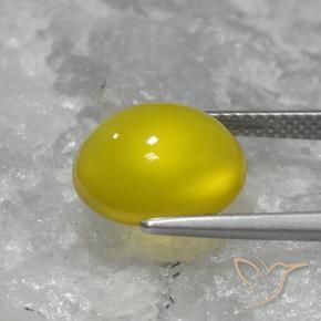 Ágata Amarillo abejorro natural de 5.05 ct, Ovalada, Translúcido