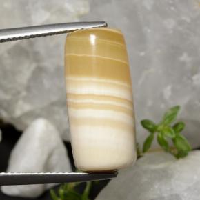 Ágata multicolor natural de 19,47 ct, forma elegante, translúcido