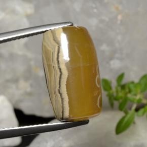 Ágata multicolor natural de 18,27 ct, forma elegante, translúcido