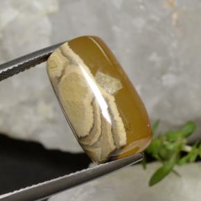 Ágata multicolor natural de 18,27 ct, forma elegante, translúcido