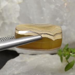 Ágata multicolor natural de 18,27 ct, forma elegante, translúcido