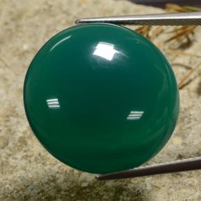 Ágata verde natural de 30,72 ct, corte redondo, translúcido