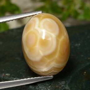 Ágata Multicolor natural de 14.86 ct, Corte Óvalo, Opaco