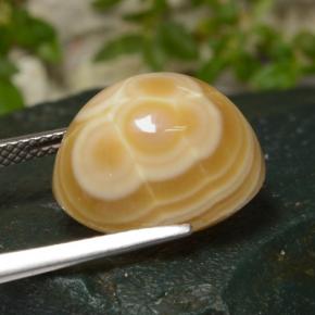 Ágata Multicolor natural de 14.86 ct, Corte Óvalo, Opaco